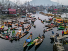 Kashmir: A Tapestry of Natural Beauty, Cultural Splendor, and Unique Experiences