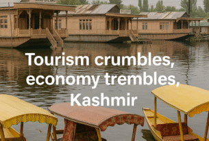 Tourism Crumbles, Dreams Shatter A Human Crisis Unfolds in Kashmir