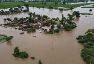 Washed Away: Punjab's Farmers Face Ruin After Record Monsoon Floods