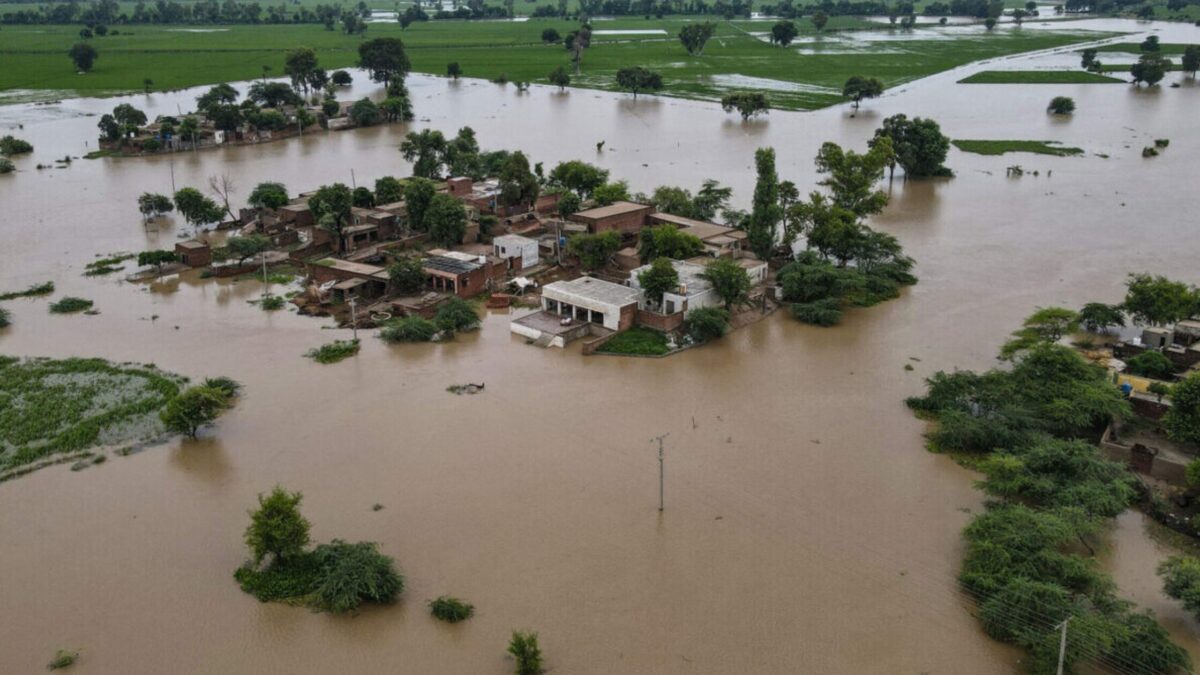Washed Away: Punjab's Farmers Face Ruin After Record Monsoon Floods