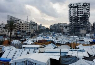 Gaza ‘Survival’ at Stake, UN Warns: A Territory on the Brink and a World Called to Act