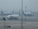 Delhi Airport Faces Major Flight Disruptions as Dense Fog Grounds 79 Flights
