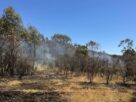 Firefighters Order Mass Evacuations as Record-Breaking Heatwave Fuels Dangerous Bushfires Across Australia