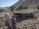 Iran Launches Missile Strikes on US Bases in Jordan and Bahrain, Raising Fears of Wider Middle East Conflict