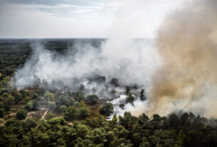 Forest fire grows rapidly in Dutch nature reserve as firefighters battle to stop the flames