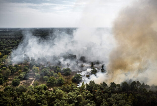 Forest fire grows rapidly in Dutch nature reserve as firefighters battle to stop the flames
